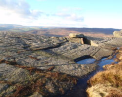 Stanage Edge grouse drinking bowls